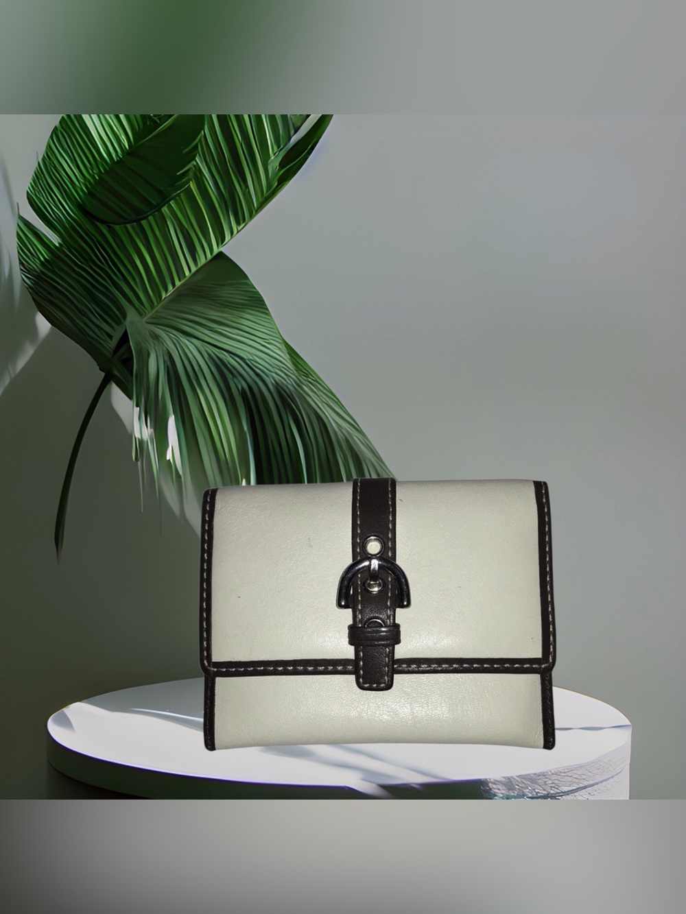 Small Size Coach Purse